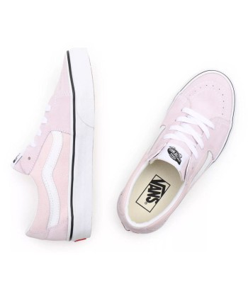 Vans Sk8-Low les ctes