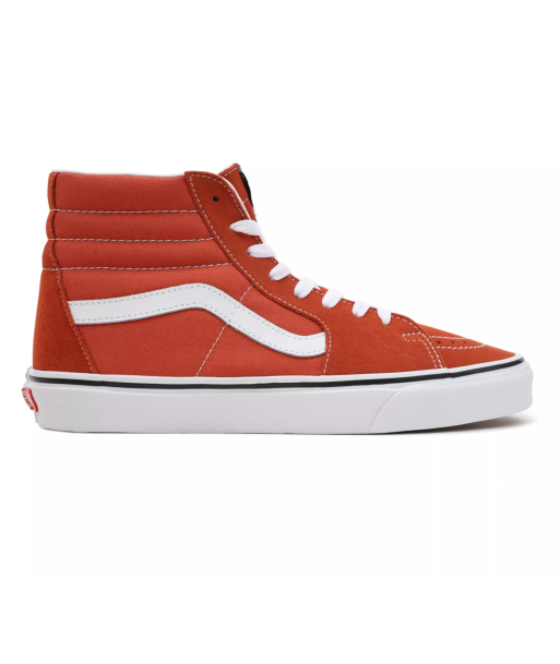 Vans Sk8-Hi Amélioration de cerveau avec