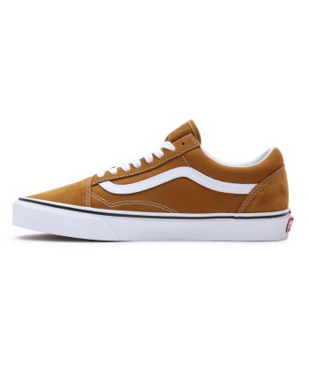 Vans Old Skool Dans la société mordern