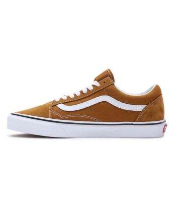 Vans Old Skool Dans la société mordern