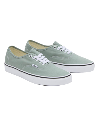 Vans Authentic Color Theory Iceberg Dans la société mordern