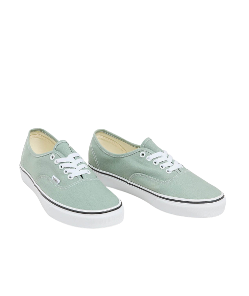 Vans Authentic Color Theory Iceberg de pas cher